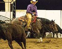 roping-quarter-horse