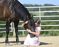 black-husband-safe-horse