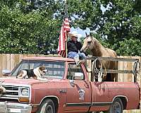 trail-riding-quarter-horse