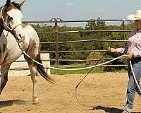 trail-riding-quarter-horse