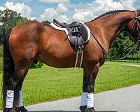 grade-pony-paint