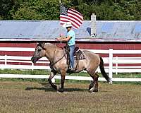 ranch-quarter-horse