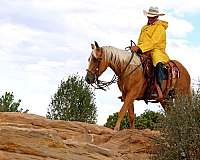 barrel-racing-quarter-horse