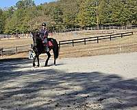 affectionate-friesian-horse