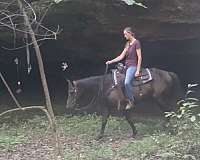 ranch-work-quarter-horse