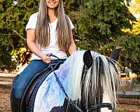 cowboy-mounted-shooting-gypsy-vanner-horse