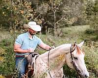 cowboy-mounted-shooting-quarter-horse