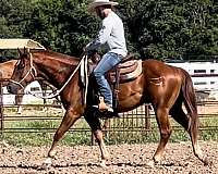 left-forelimb-pastern