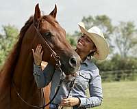 sorrel-aqha-gelding