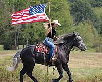 trail-riding-draft-horse