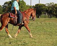 sliding-gelding