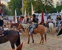 ranch-work-quarter-horse