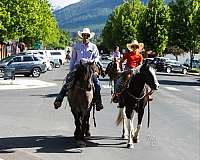 ranch-work-quarter-horse