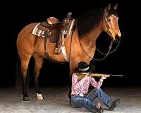 beautiful-buckskin-draft-horse