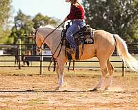 ranch-work-quarter-horse