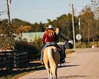 trail-quarter-horse