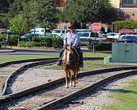 chestnut-blaze-horse