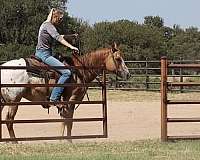 ranch-quarter-horse