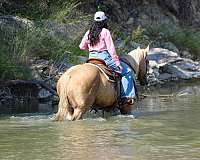 husband-safe-quarter-horse