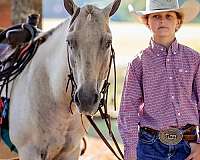 ranch-work-quarter-horse