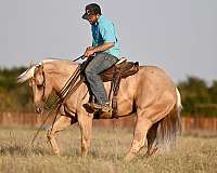 trail-riding-quarter-horse