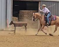 roping-quarter-horse