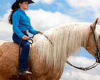 horsemanship-quarter-horse