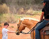 calf-roping-quarter-horse