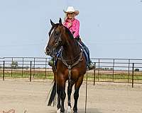 calf-roping-quarter-horse