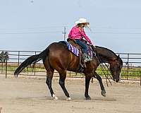 ranch-versatility-quarter-horse