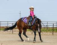 reined-cow-quarter-horse