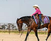 trail-riding-quarter-horse