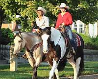 trail-riding-draft-horse