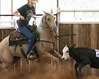 roping-quarter-horse