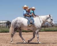 lesson-draft-horse