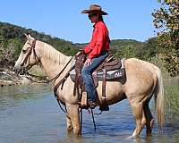 trail-riding-quarter-pony