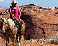 palomino-aqha-horse