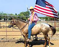 red-roan-see-pics-pony