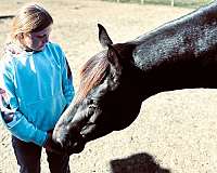 black-see-pics-horse