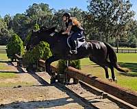 ranch-work-quarter-horse