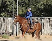 sorrel-trail-class-competition-donkey