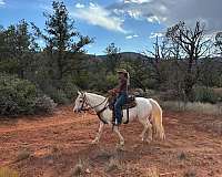 horsemanship-welsh-pony