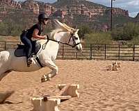 trail-riding-welsh-pony