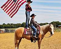 roping-quarter-horse