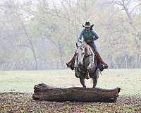 calf-roping-quarter-horse