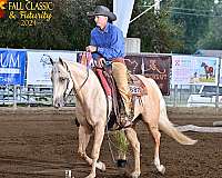 western-riding-quarter-horse