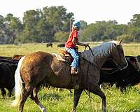 ranch-work-quarter-horse