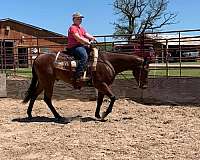 calf-roping-quarter-pony