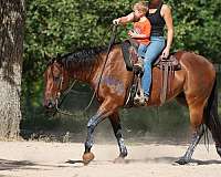 trail-riding-quarter-pony