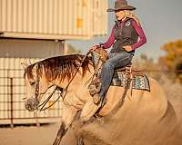 roping-quarter-horse